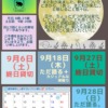 Thumbnail of related posts 007